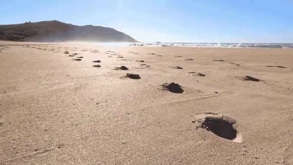 Pegadas na areia da Praia da Silveira